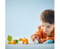 LEGO DUPLO 10442 Rodziny dzikich zwierząt pingwiny i lwy - 1299016 - zdjęcie 4